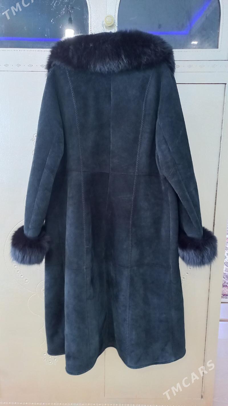 Dblyonka (PALTO) - Дашогуз - img 1