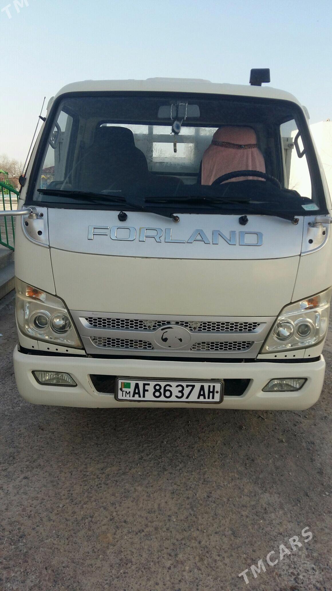 Forland H2 2012 - 110 000 TMT - Серахс - img 1