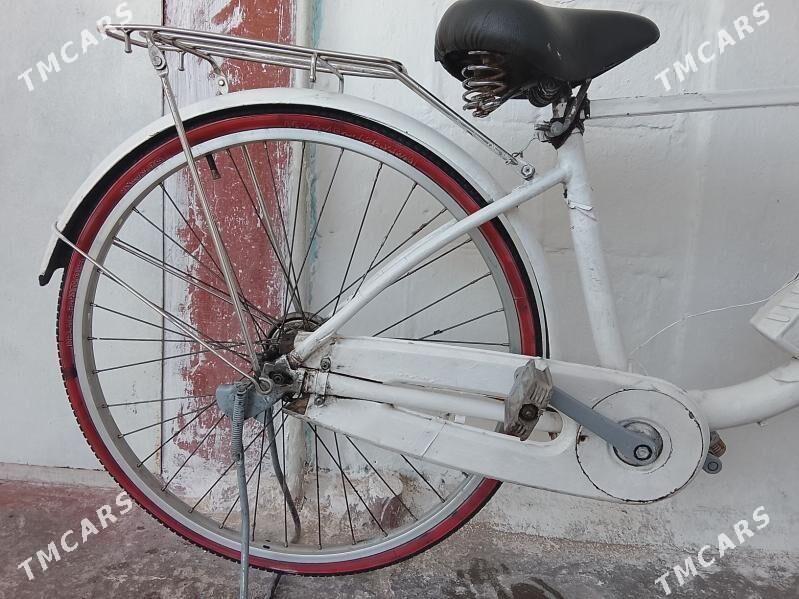 ural tigir - Türkmenbaşy - img 3