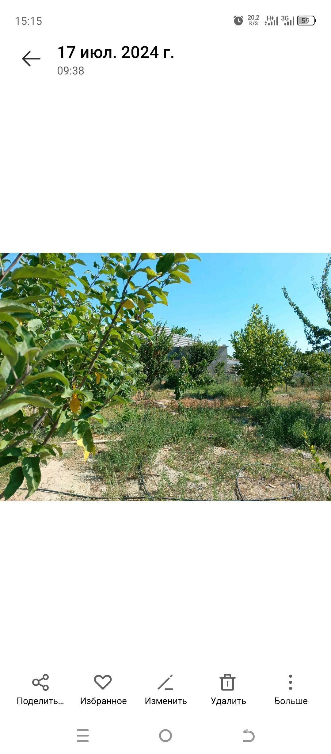 arenda jay - Gökdepe - img 1