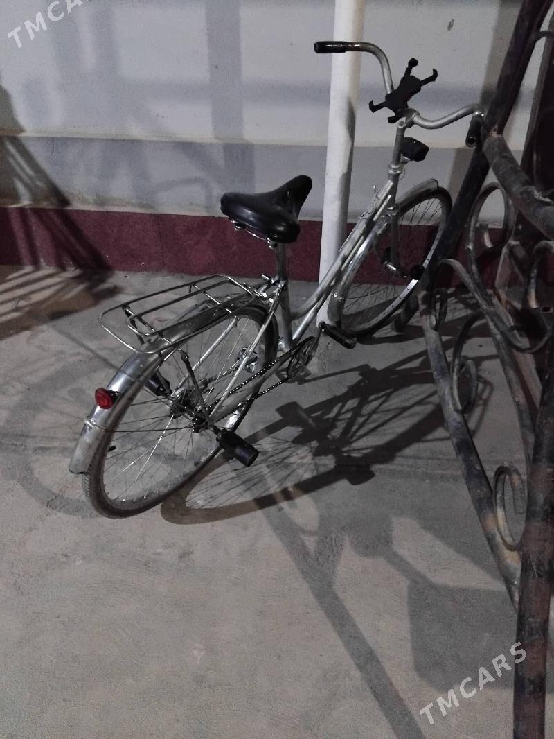 Velik 26lyk - Sakarçäge - img 2