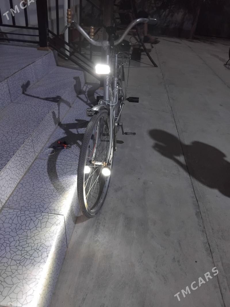 Velik 26lyk - Sakarçäge - img 3