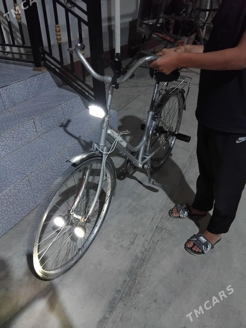 Velik 26lyk - Sakarçäge - img 4