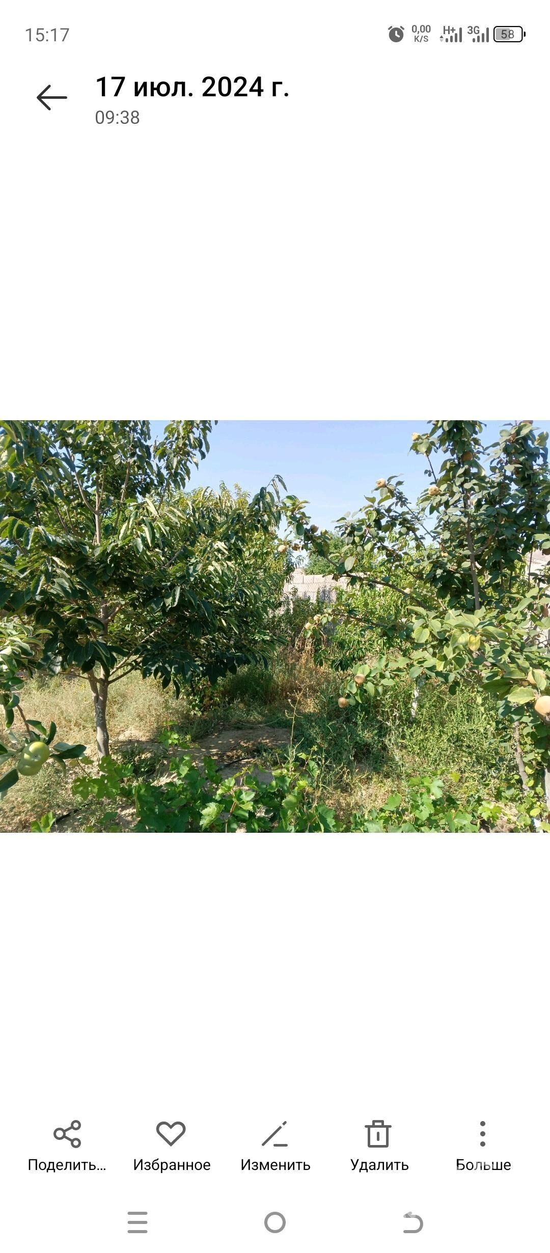 arenda jay - Gökdepe - img 2