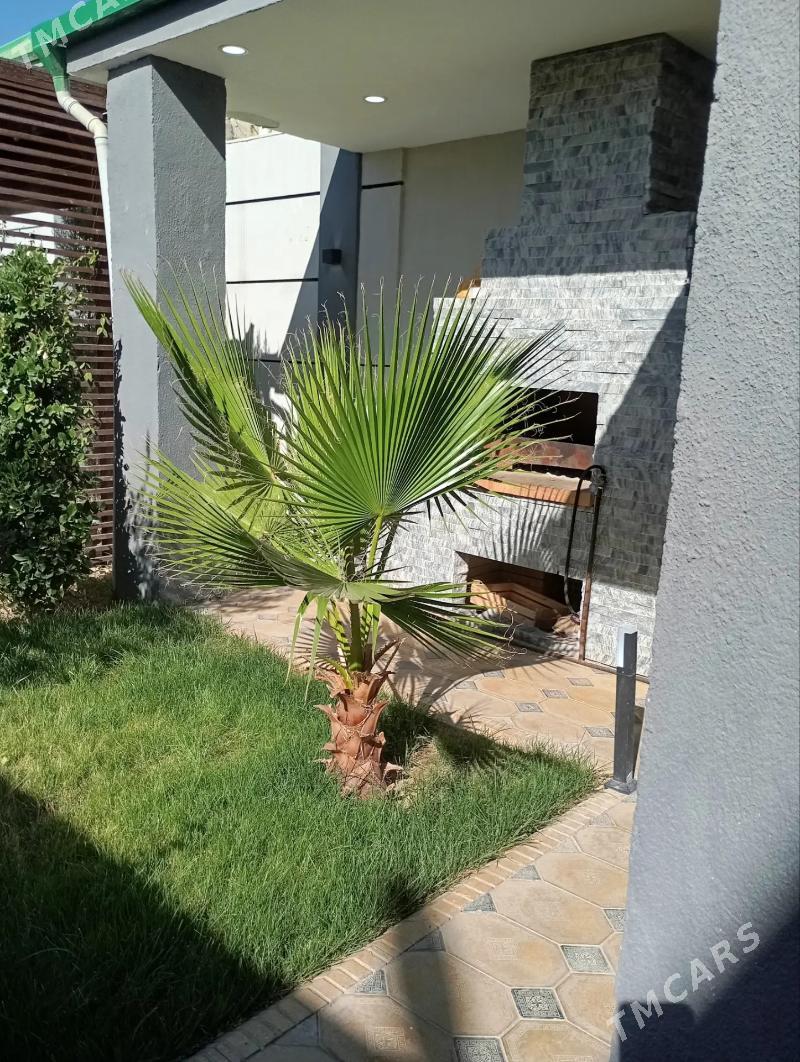 Чоганлы 3сот 5ком 170м² - Ашхабад - img 3