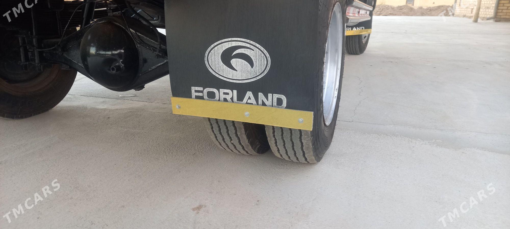 Forland H2 2014 - 137 000 TMT - Mary - img 3
