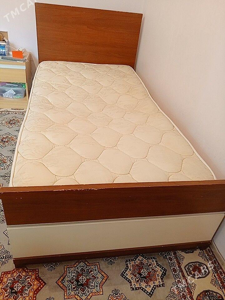 krowat 1 adamlyk - Ашхабад - img 1