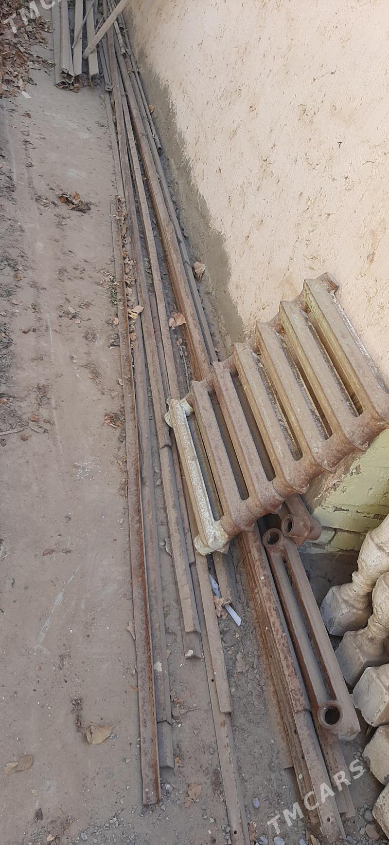 Ugolnyk rasyski - Baýramaly - img 2