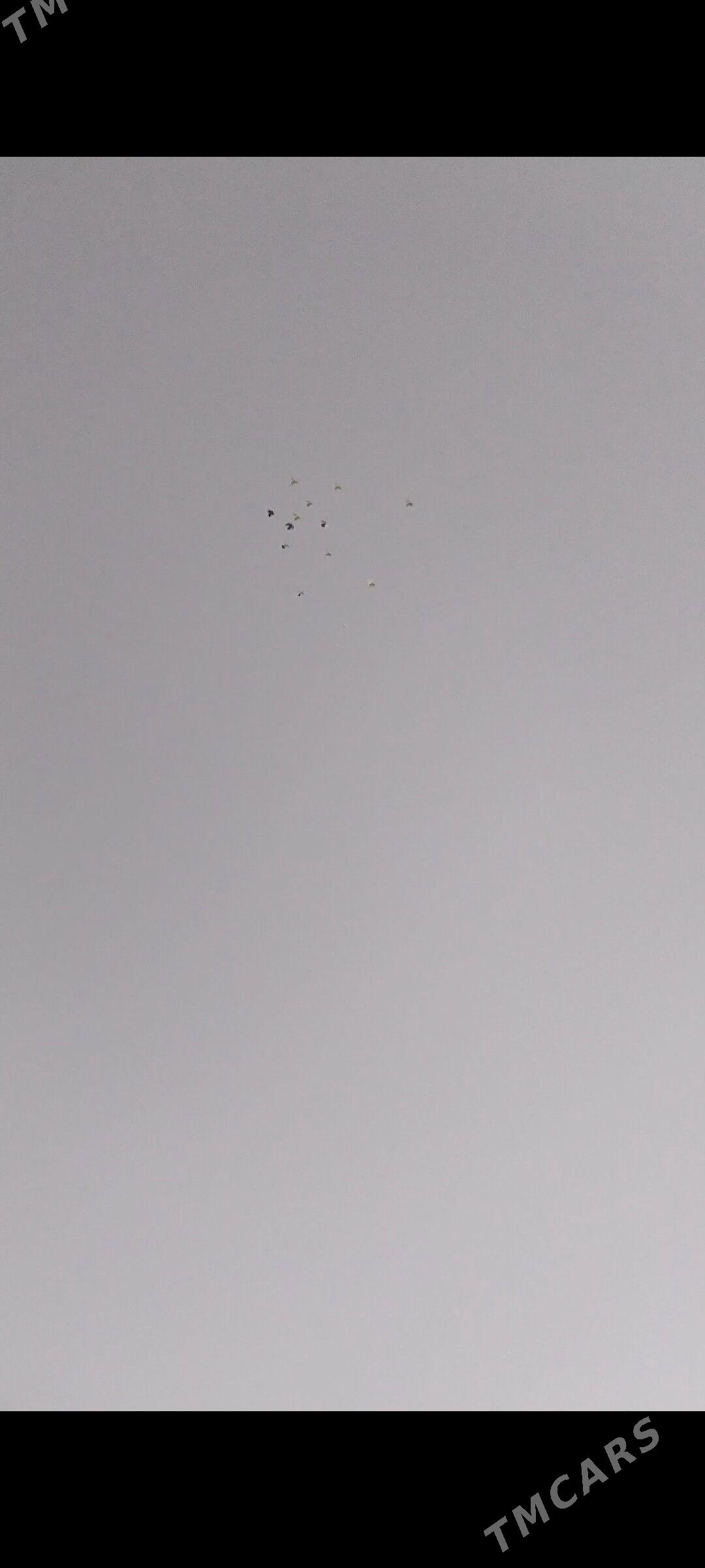 kepder - Магданлы - img 1