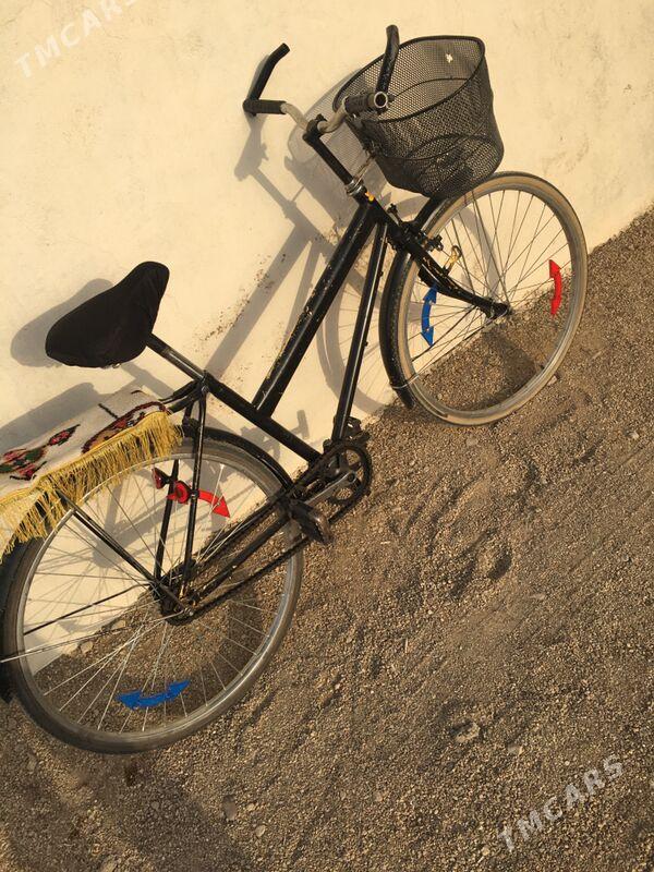 26-lyk çâkirtge - Jebel - img 3