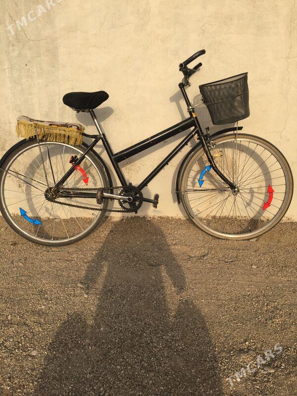 26-lyk çâkirtge - Jebel - img 1