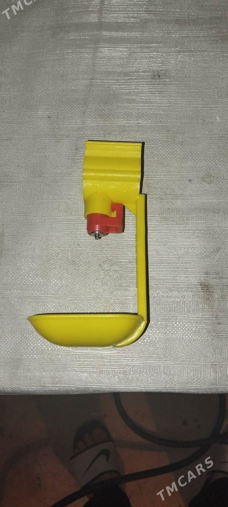 poilka - Туркменбаши - img 1