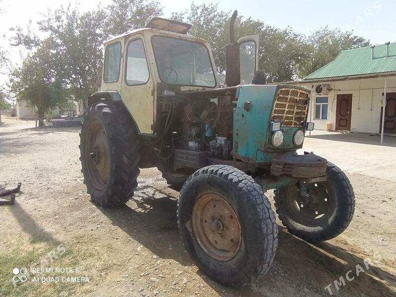 MTZ 80 2025 - 26 000 TMT - Ak bugdaý etraby - img 1