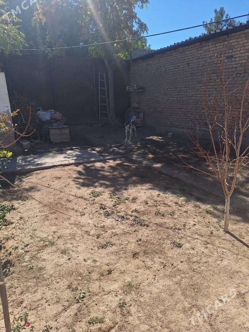 Квартира - Türkmenabat - img 9