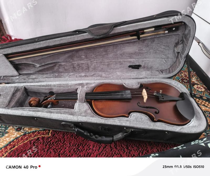 Skripka - Türkmenbaşy - img 3