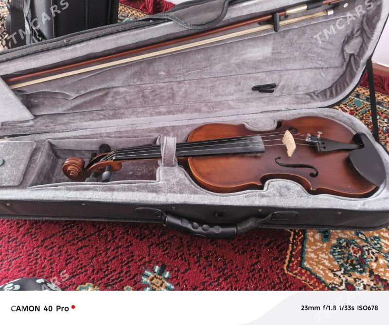 Skripka - Türkmenbaşy - img 2