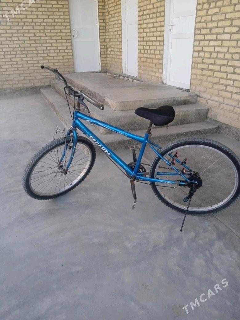 spartiwny - Байрамали - img 1