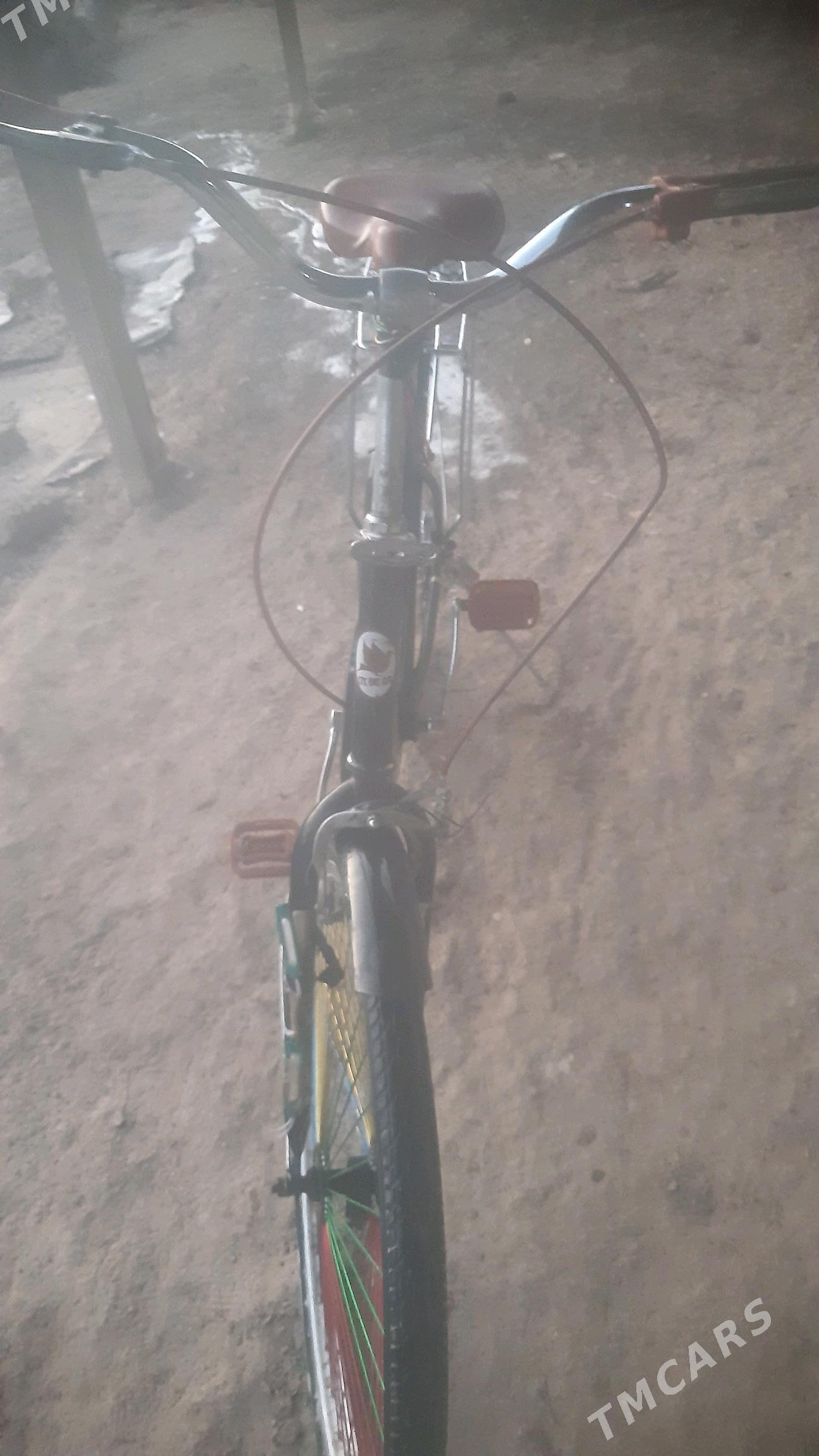 26Lyk YAPOSGA - Gurbansoltan Eje - img 5