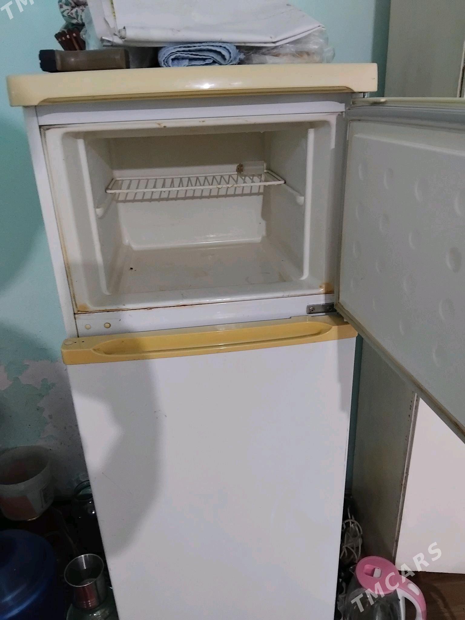 holodelnik - Анев - img 1