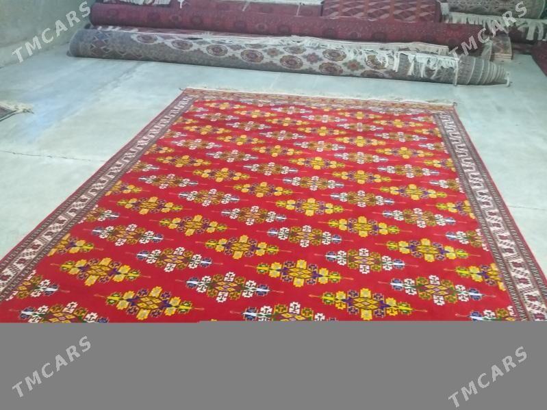 el haly - Çoganly - img 8