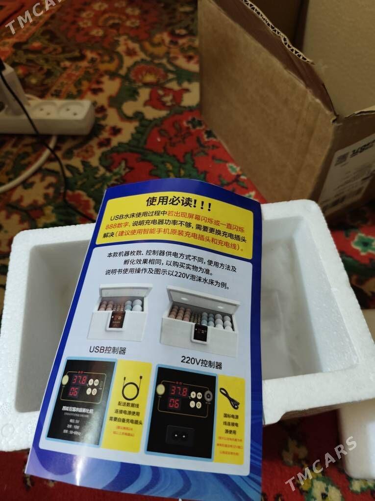 inkubator - Çoganly - img 1