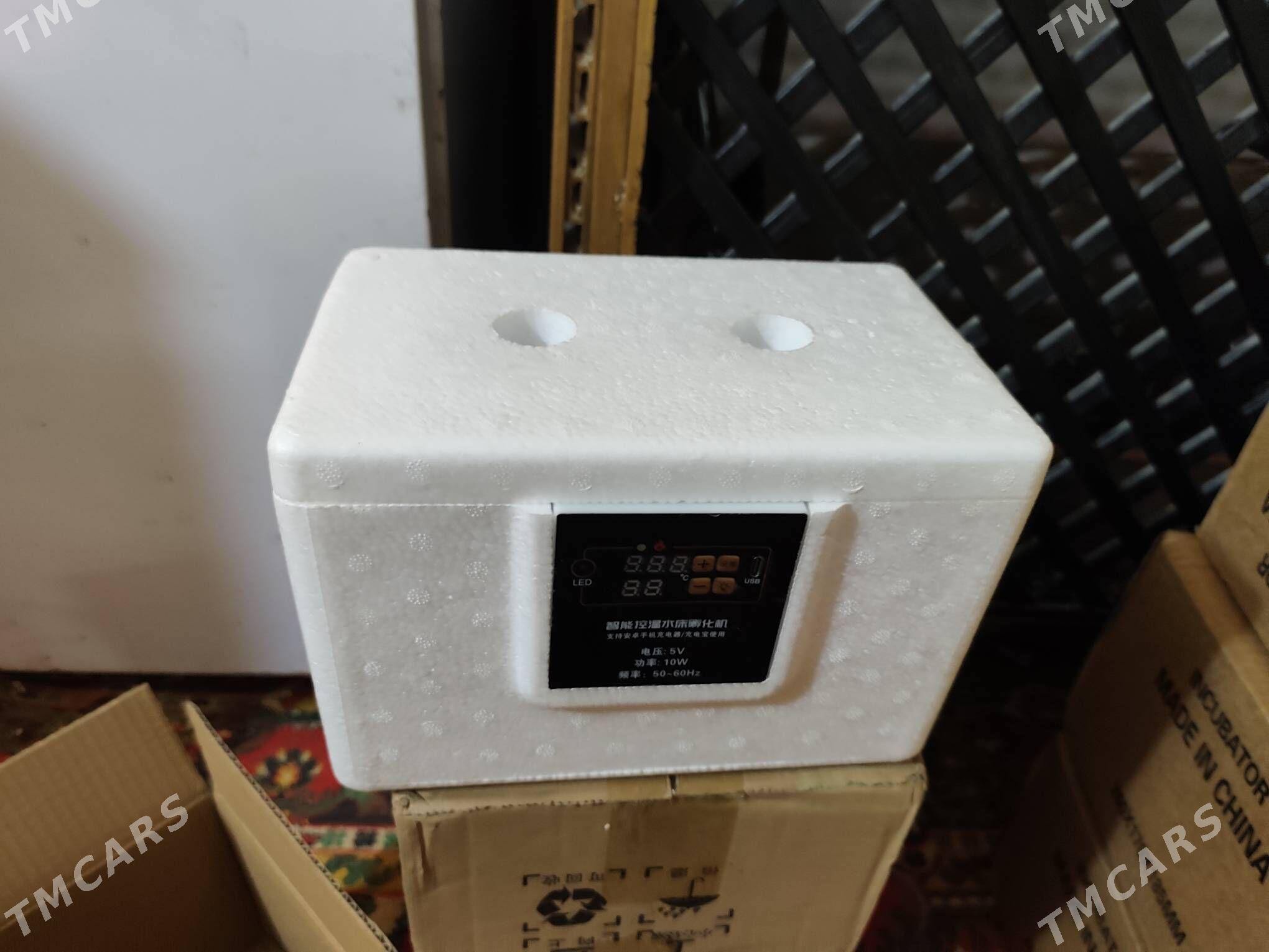 inkubator - Çoganly - img 5