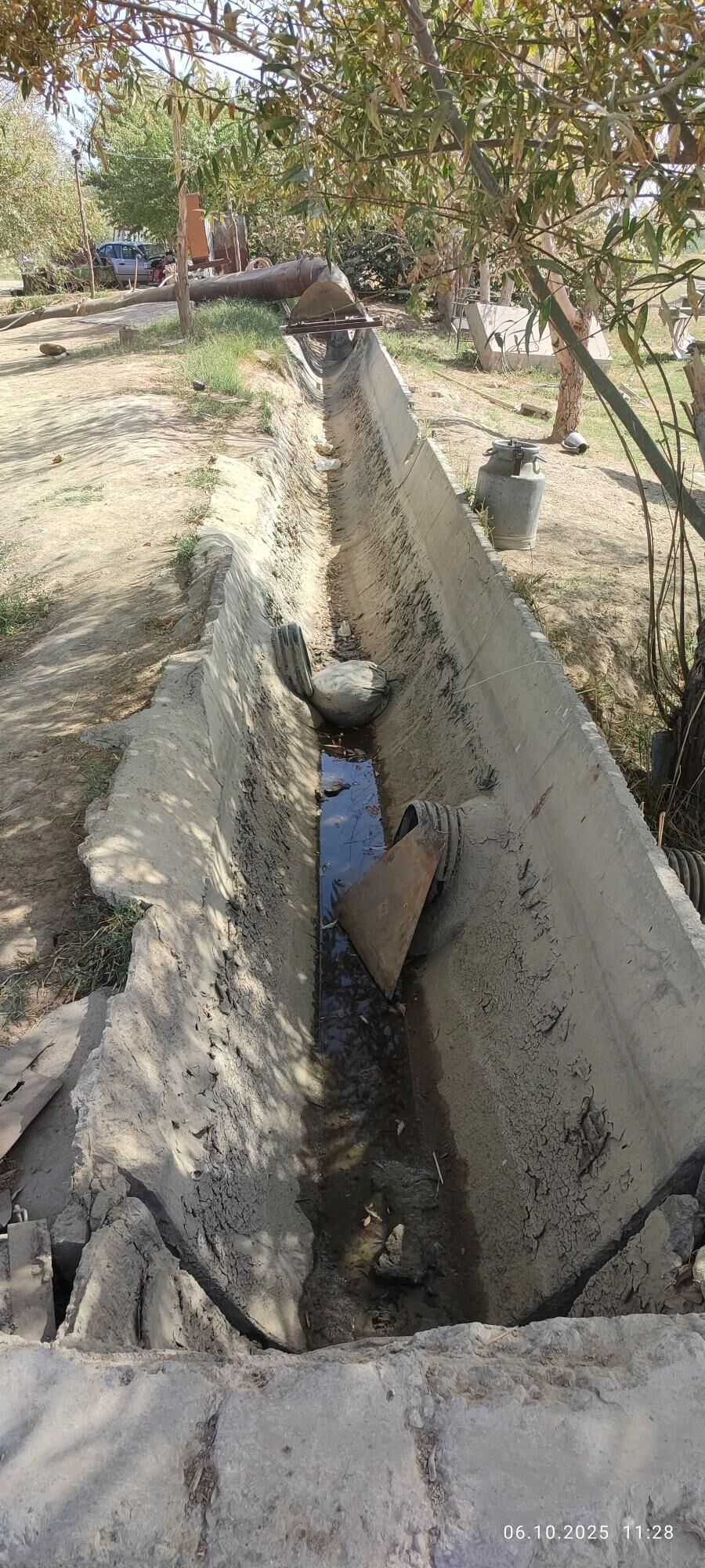 suwcy potratcy  dayhan komekci - Мургап - img 2