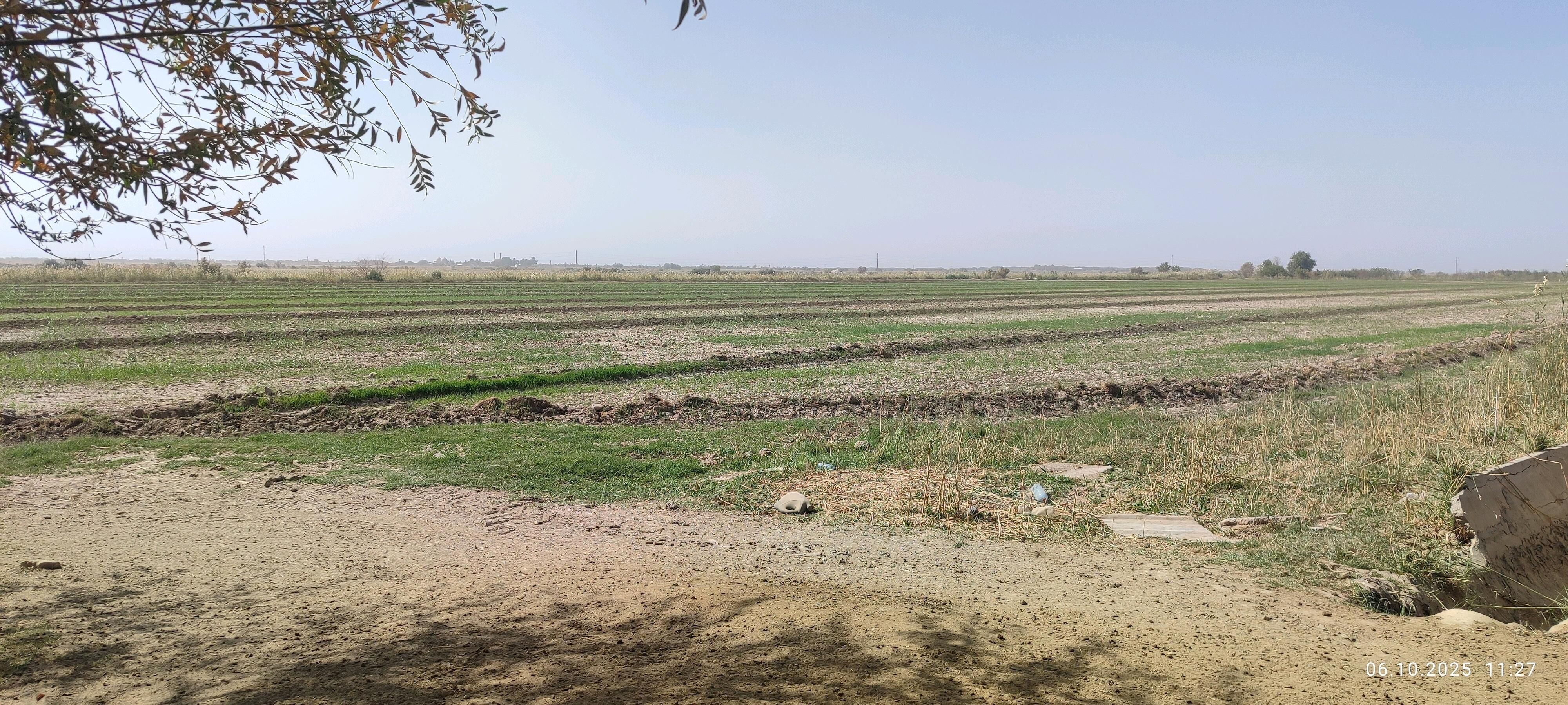 suwcy potratcy  dayhan komekci - Мургап - img 3