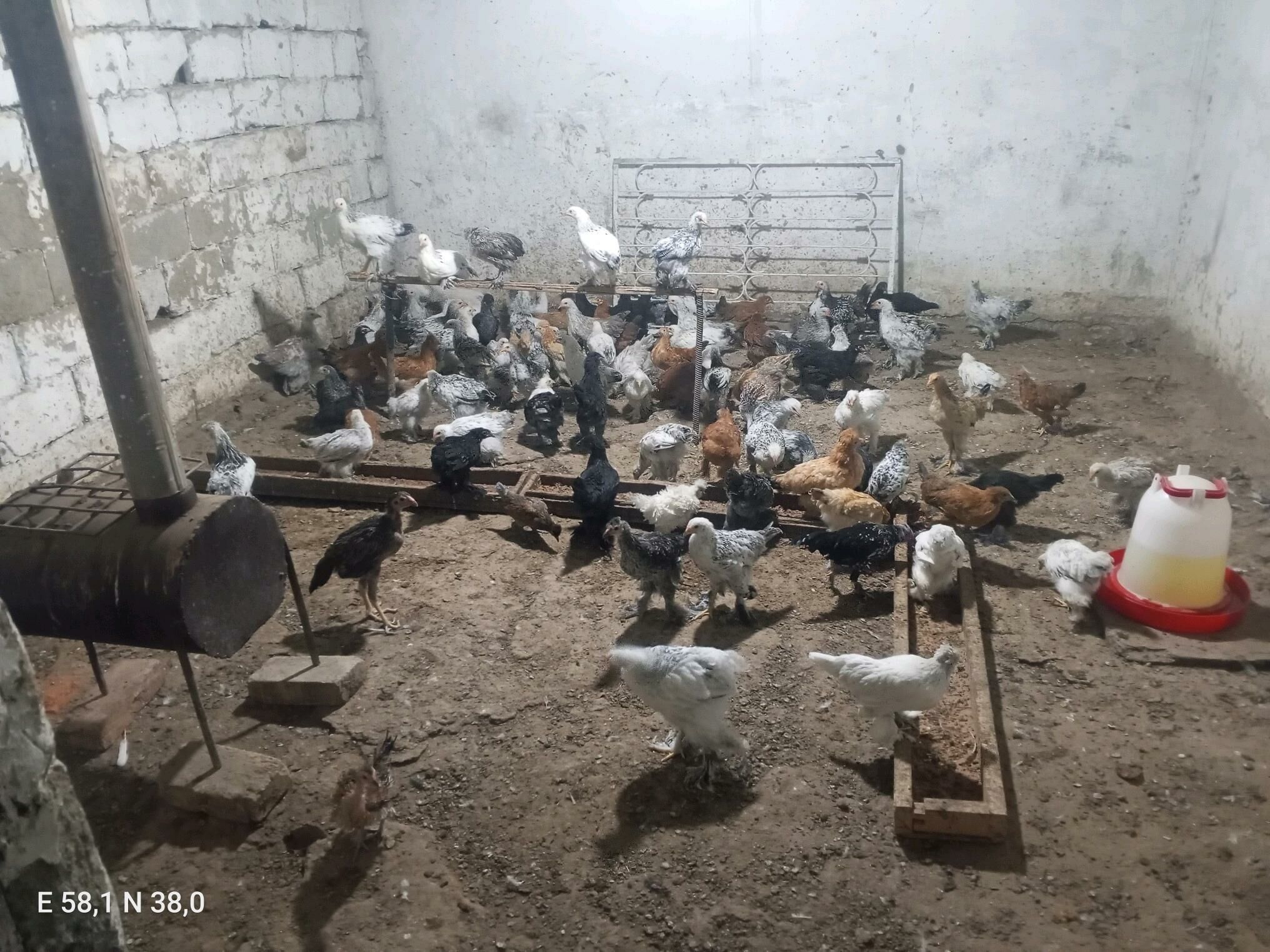 Towuk - Гёкдже - img 5