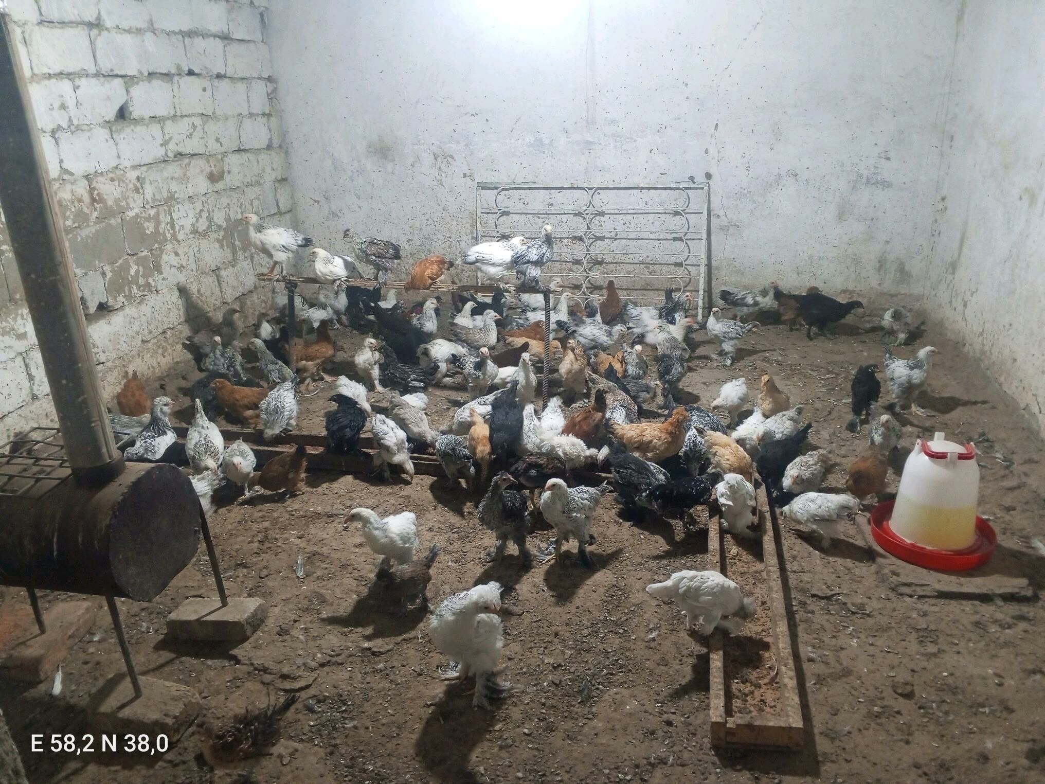 Towuk - Гёкдже - img 4