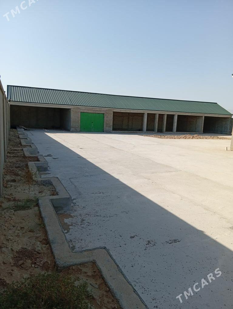 Onally Plon jay - Ак-Бугдайский этрап - img 4