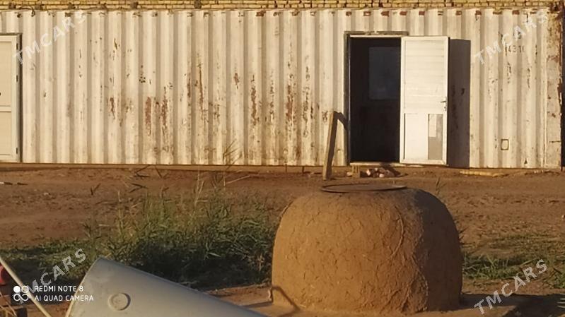 wagon jay - Sarahs - img 1