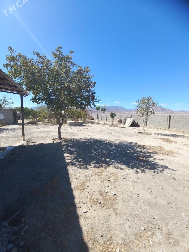 Bäherden Satlyk jaý - Bäherden - img 2