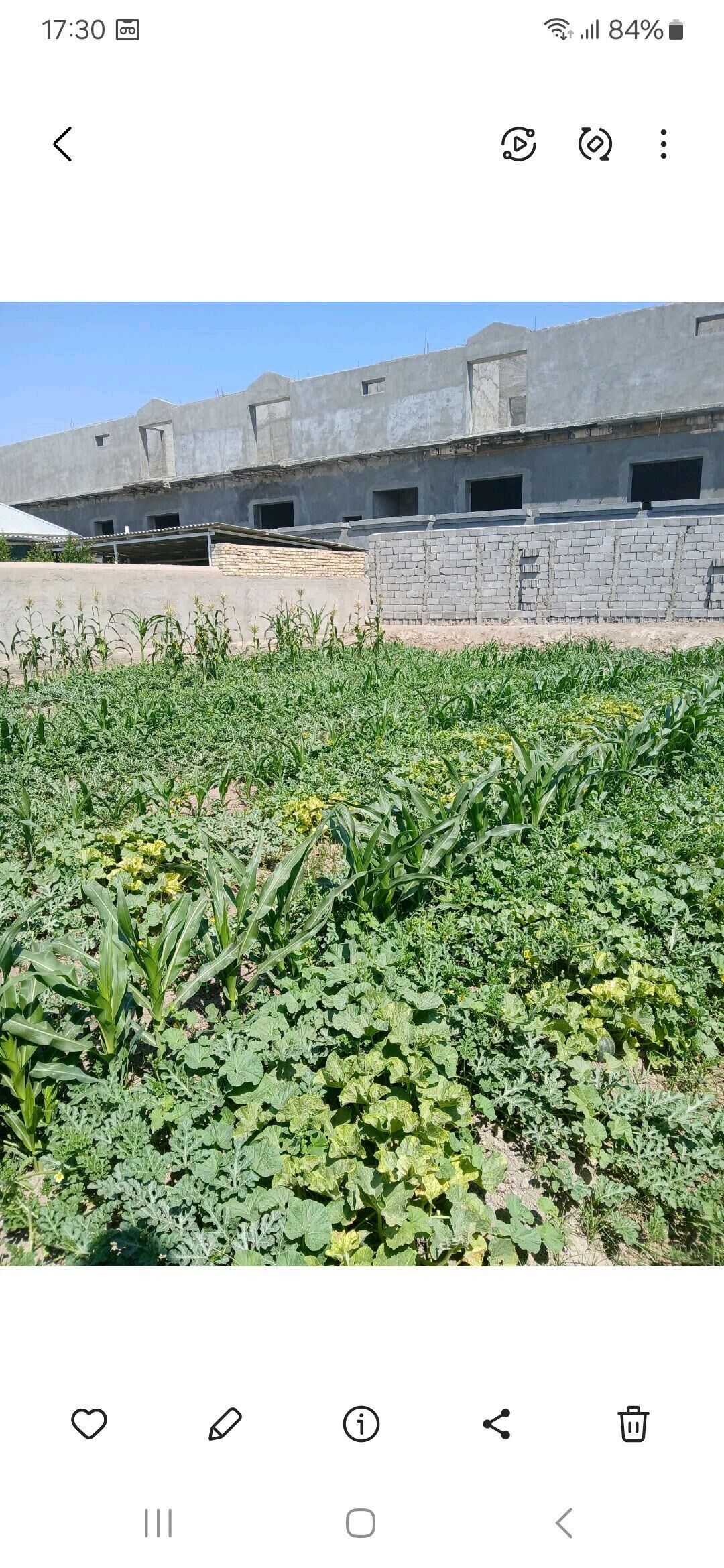 Satlyk Jay - Мары - img 4