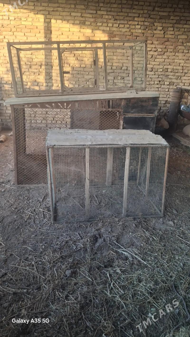 TOWYK KETEK - Саят - img 1