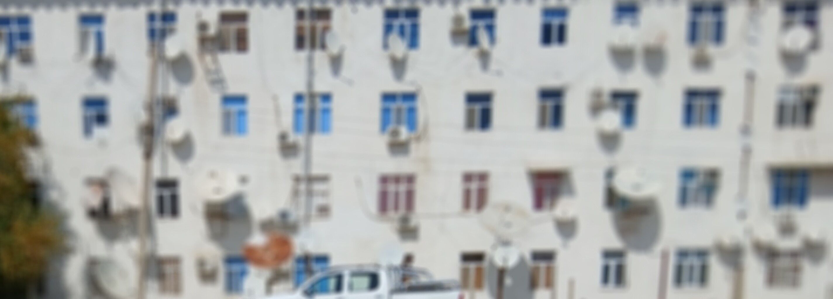 жай - Gyzylarbat - img 1