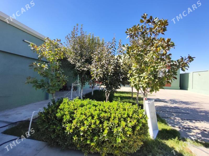 GÖKĴE FULL PLAN - Ашхабад - img 1