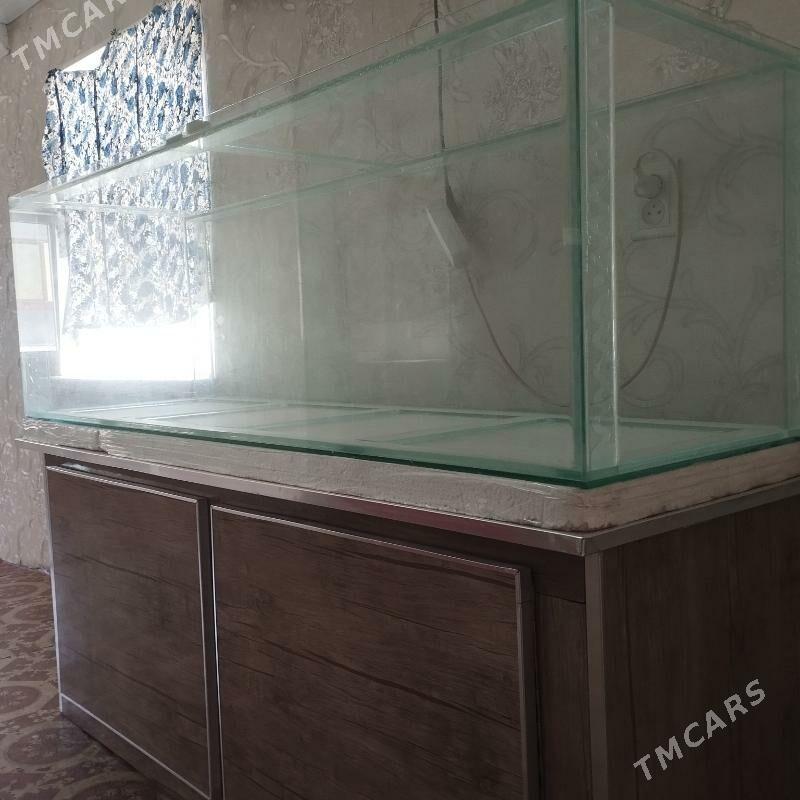 аквариум 400 л. с тумбой - Türkmenabat - img 2