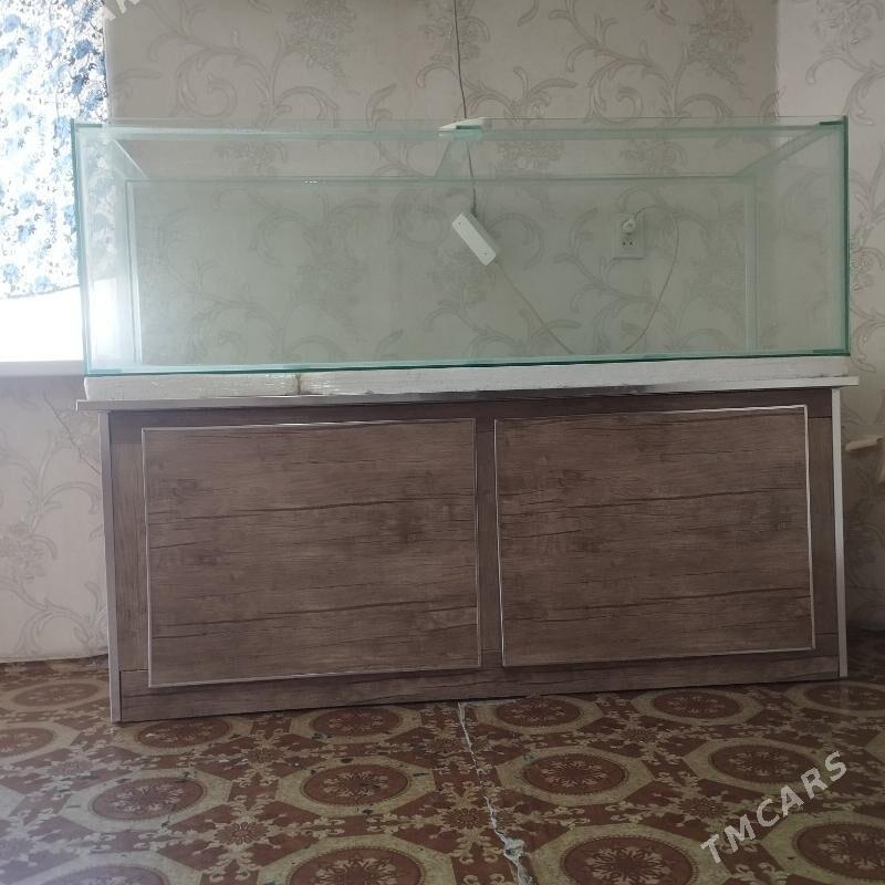 аквариум 400 л. с тумбой - Türkmenabat - img 3