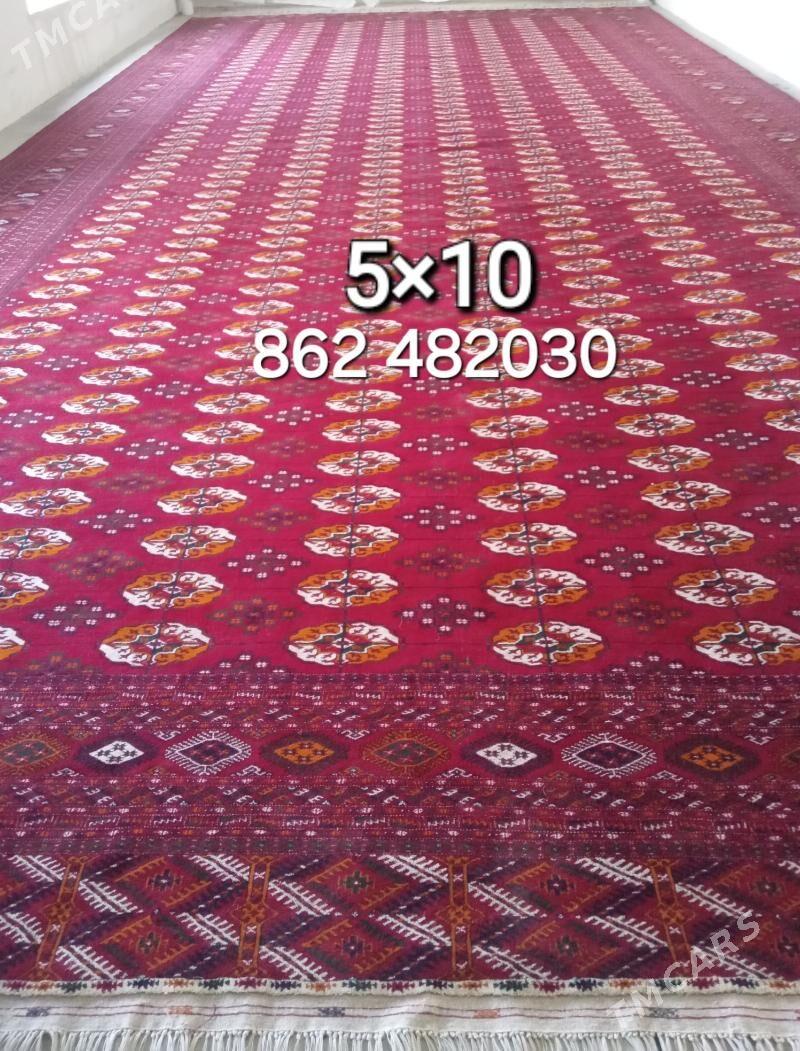 el haly 5/10 - Bäherden - img 3