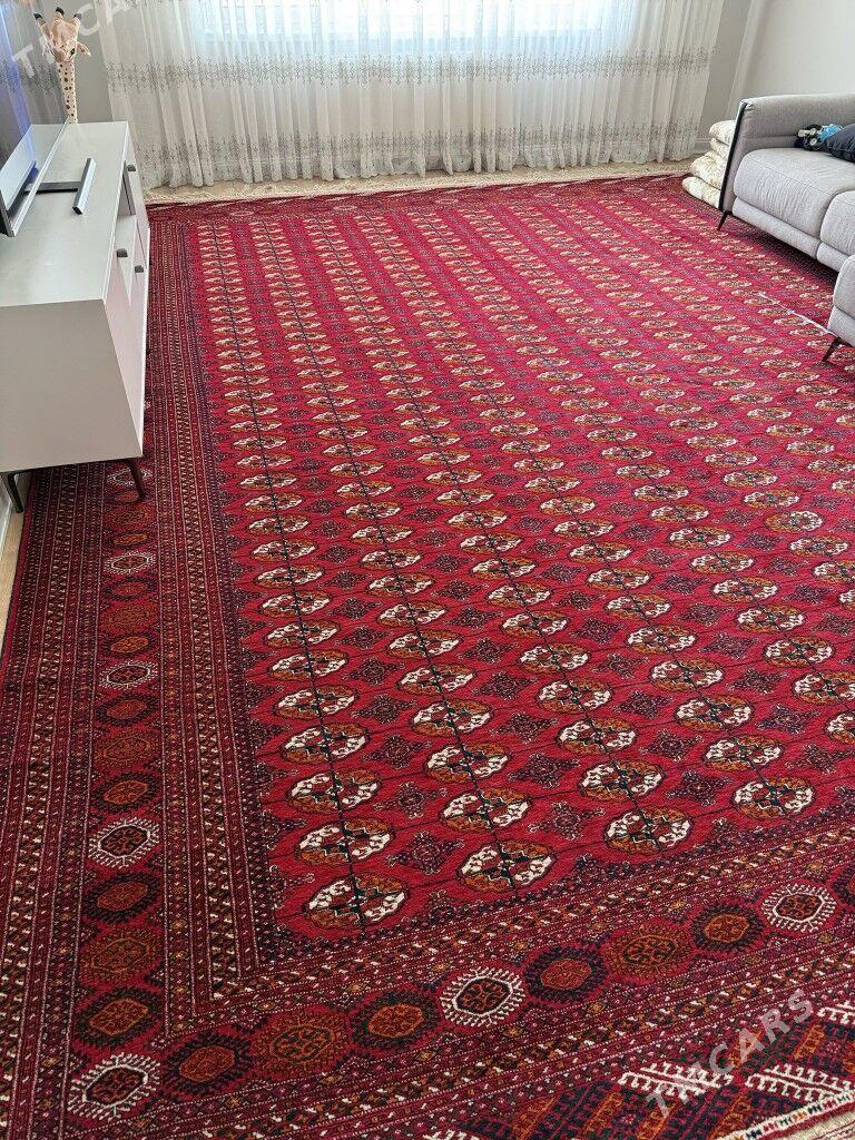 el haly - Гуртли - img 3