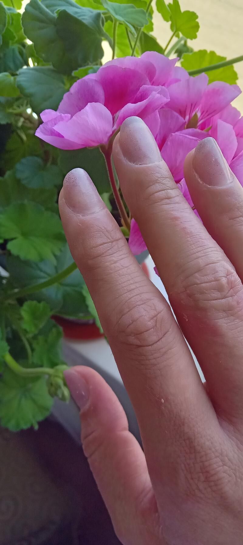 Dyrnak - Бузмеин - img 8