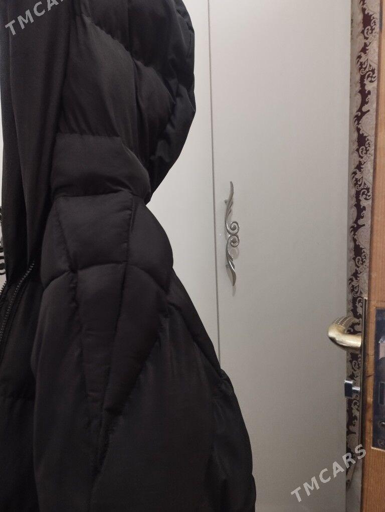 kurtga - Türkmenabat - img 1