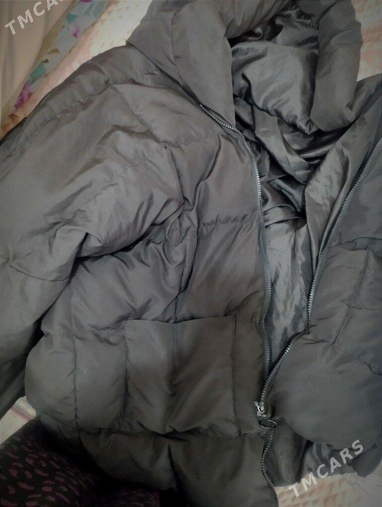 kurtga - Türkmenabat - img 3