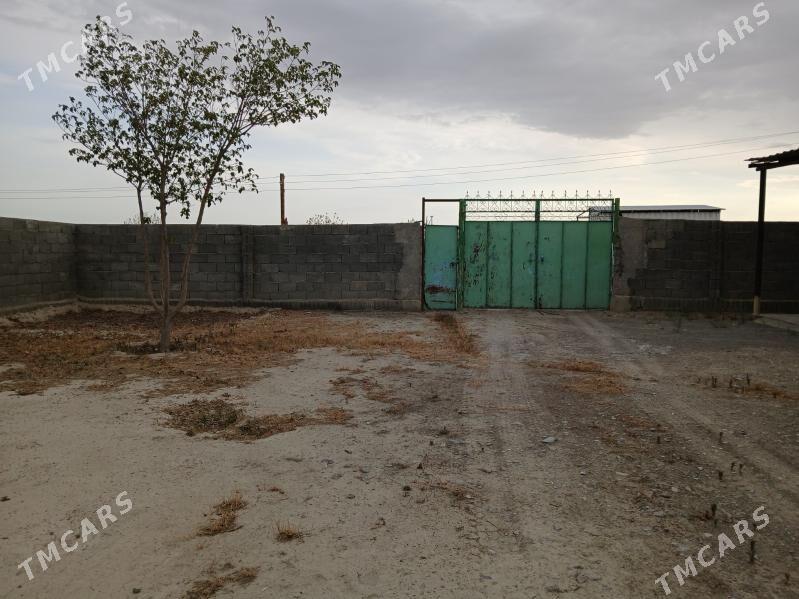 Satlyk jaý - Bäherden - img 2