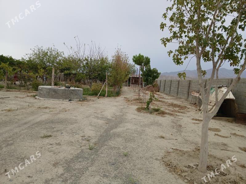 Satlyk jaý - Bäherden - img 3