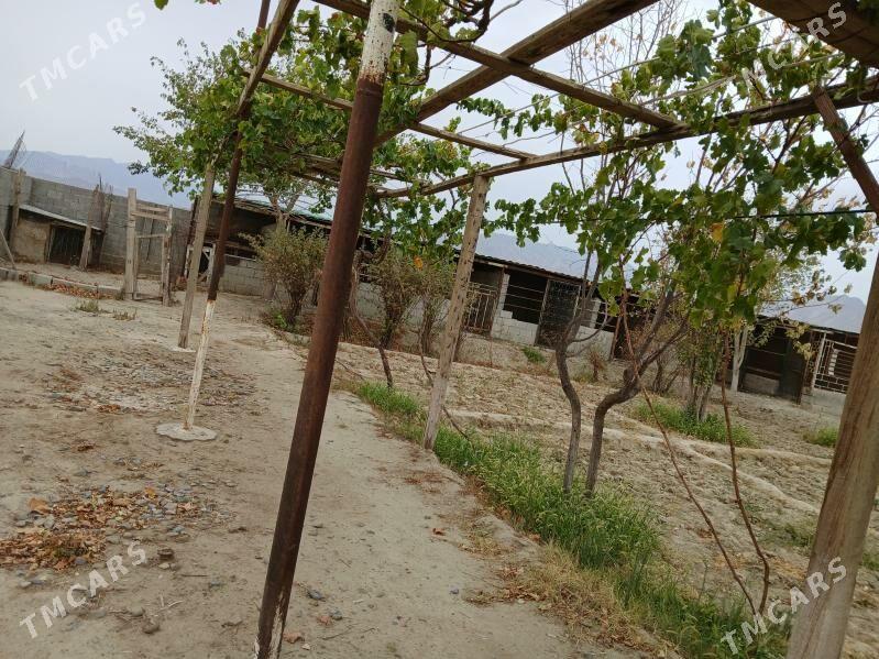 Satlyk jaý - Bäherden - img 4