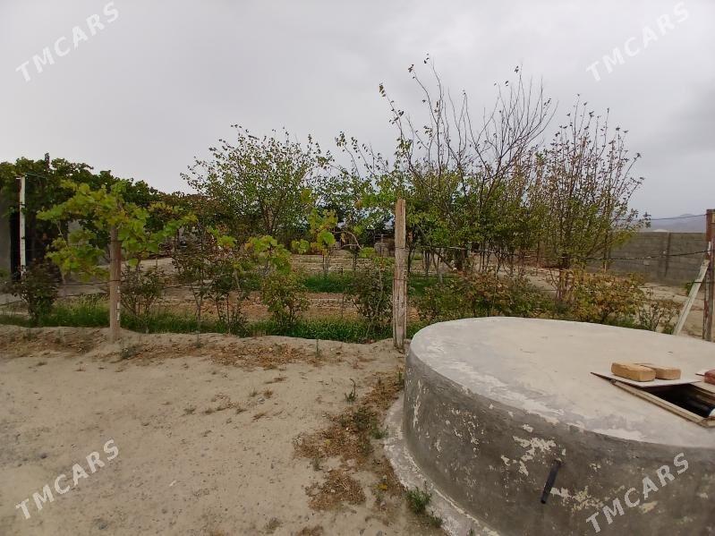 Satlyk jaý - Bäherden - img 6