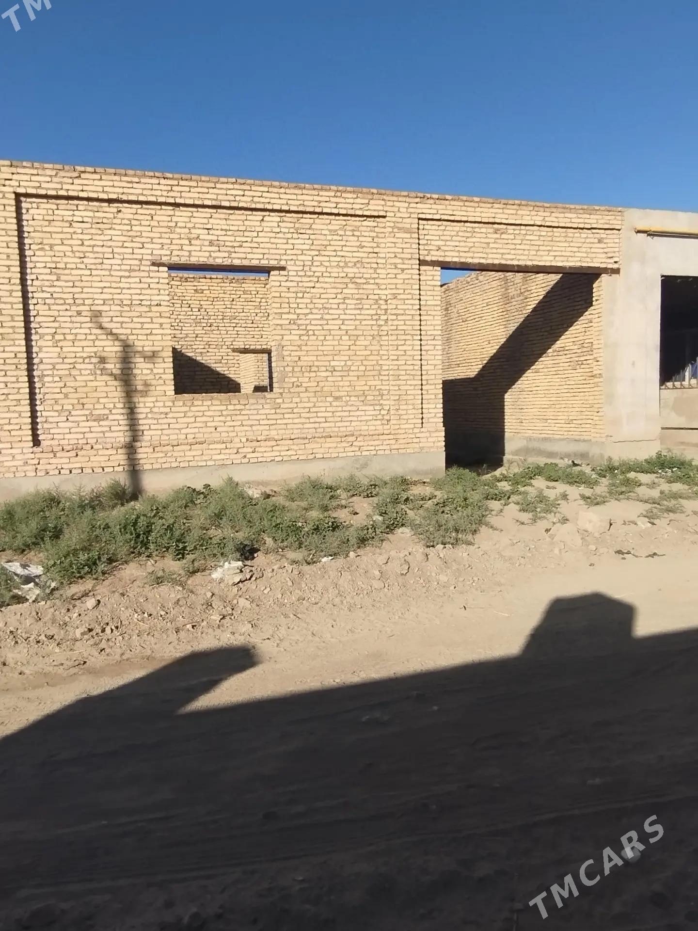 Daca - Çärjew - img 2