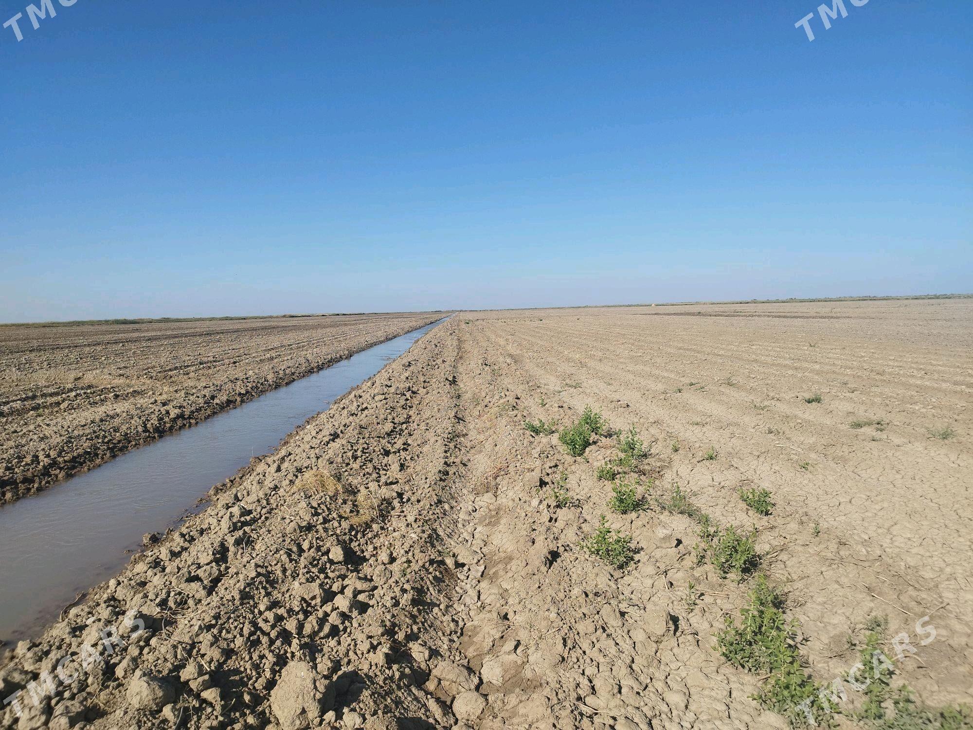 Işgär gerek - Tejen - img 1